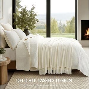 Pottery Barn Cozy Plush Decorative Chenille Knit Blanket Throw with Tassels